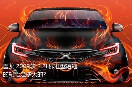 雷龙 2009款 2.2L标准型短轴的轮胎是多大的？