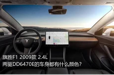 旗胜F1 2009款 2.4L 两驱DD6470E的车身都有什么颜色？