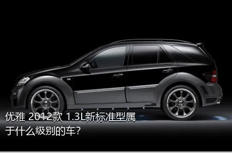 优雅 2012款 1.3L新标准型属于什么级别的车？