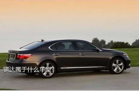 骐达属于什么车型？