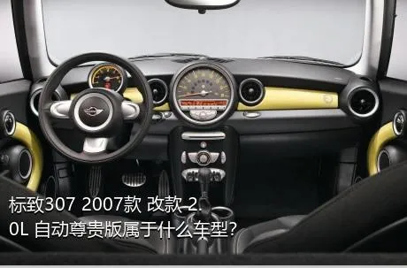 标致307 2007款 改款 2.0L 自动尊贵版属于什么车型？