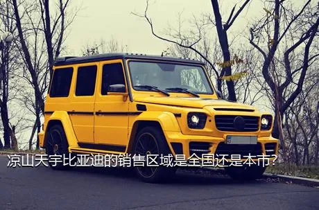 凉山天宇比亚迪的销售区域是全国还是本市？