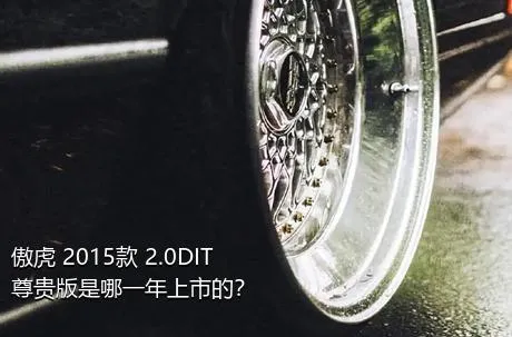 傲虎 2015款 2.0DIT 尊贵版是哪一年上市的？