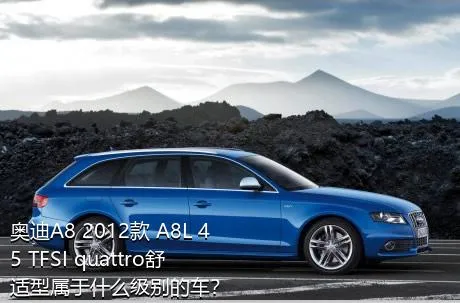 奥迪A8 2012款 A8L 45 TFSI quattro舒适型属于什么级别的车？