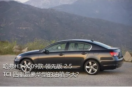 哈弗H3 2009款 领先版 2.5TCI 四驱超豪华型的油箱多大？