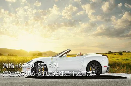 海格H6C 2015款 2.7L汽油版G4BA-4的远光灯是什么灯泡？