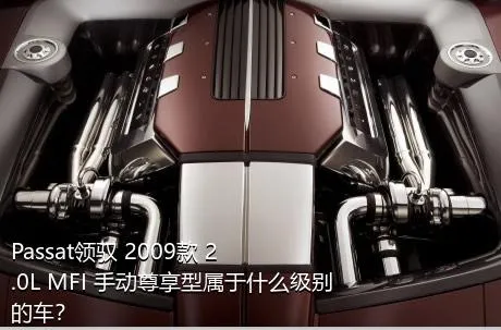 Passat领驭 2009款 2.0L MFI 手动尊享型属于什么级别的车？
