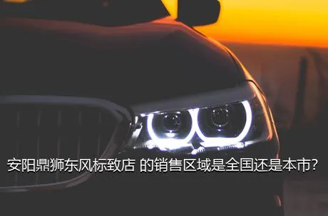 安阳鼎狮东风标致店 的销售区域是全国还是本市？