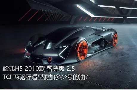哈弗H5 2010款 智尊版 2.5TCI 两驱舒适型要加多少号的油？