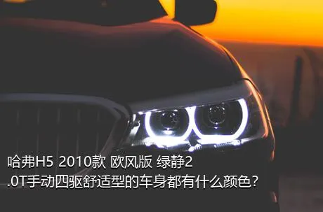 哈弗H5 2010款 欧风版 绿静2.0T手动四驱舒适型的车身都有什么颜色？
