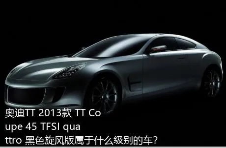 奥迪TT 2013款 TT Coupe 45 TFSI quattro 黑色旋风版属于什么级别的车？