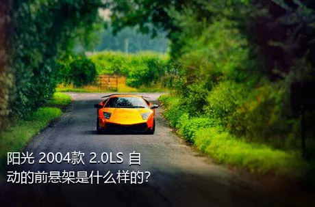 阳光 2004款 2.0LS 自动的前悬架是什么样的？