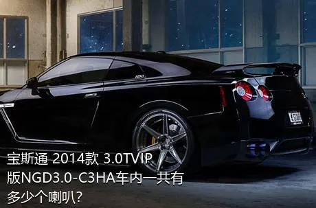宝斯通 2014款 3.0TVIP版NGD3.0-C3HA车内一共有多少个喇叭？