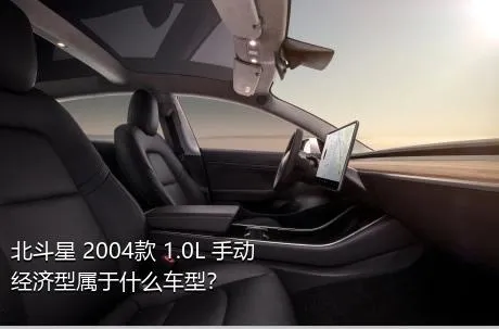 北斗星 2004款 1.0L 手动经济型属于什么车型？