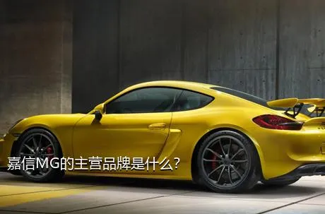 嘉信MG的主营品牌是什么？