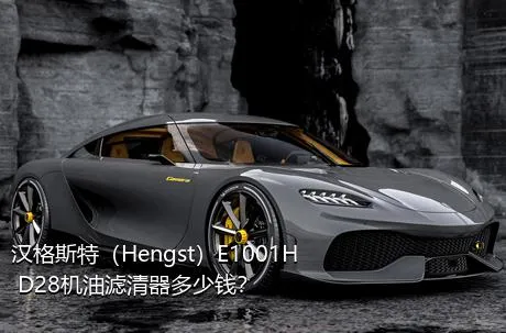 汉格斯特（Hengst）E1001H D28机油滤清器多少钱？