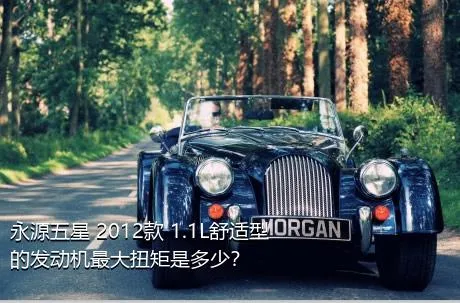 永源五星 2012款 1.1L舒适型的发动机最大扭矩是多少？
