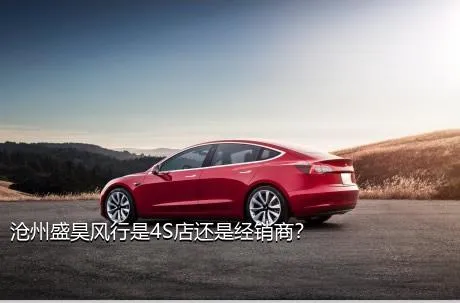 沧州盛昊风行是4S店还是经销商？