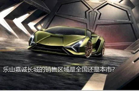乐山嘉诚长城的销售区域是全国还是本市？