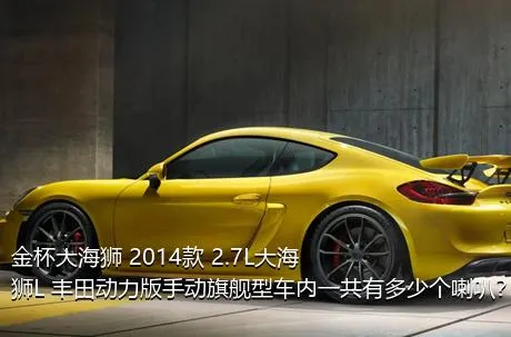 金杯大海狮 2014款 2.7L大海狮L 丰田动力版手动旗舰型车内一共有多少个喇叭？