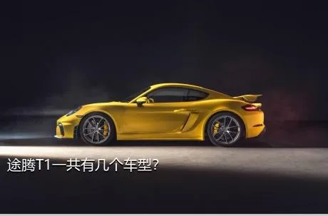 途腾T1一共有几个车型？