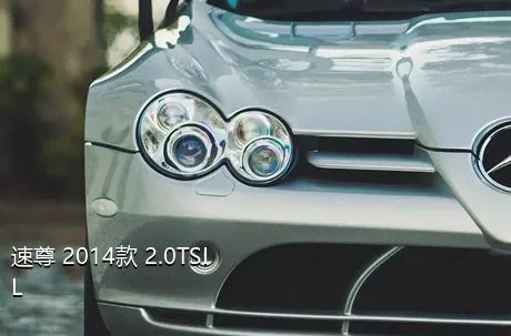 速尊 2014款 2.0TSI L&K限量版有没有儿童座椅接口？