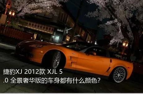 捷豹XJ 2012款 XJL 5.0 全景奢华版的车身都有什么颜色？