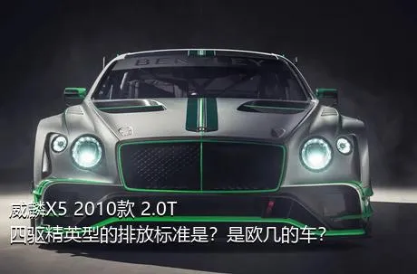 威麟X5 2010款 2.0T 四驱精英型的排放标准是？是欧几的车？