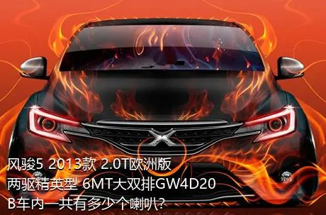 风骏5 2013款 2.0T欧洲版 两驱精英型 6MT大双排GW4D20B车内一共有多少个喇叭？