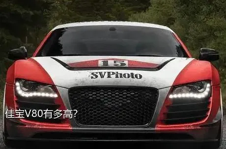佳宝V80有多高？