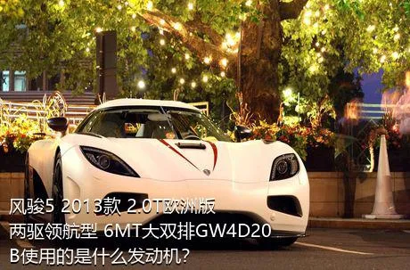 风骏5 2013款 2.0T欧洲版 两驱领航型 6MT大双排GW4D20B使用的是什么发动机？