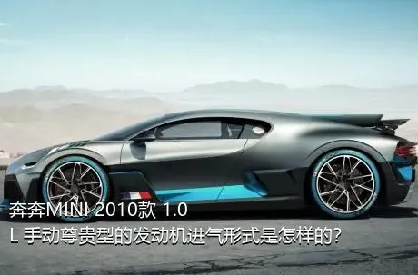 奔奔MINI 2010款 1.0L 手动尊贵型的发动机进气形式是怎样的？