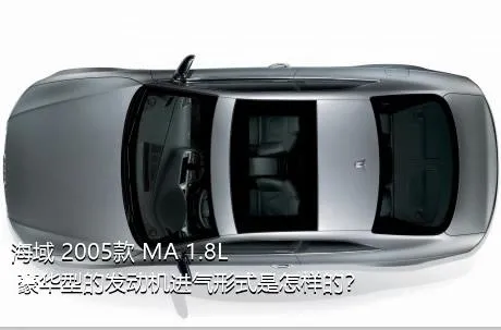 海域 2005款 MA 1.8L 豪华型的发动机进气形式是怎样的？