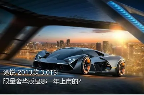 途锐 2013款 3.0TSI 限量奢华版是哪一年上市的？