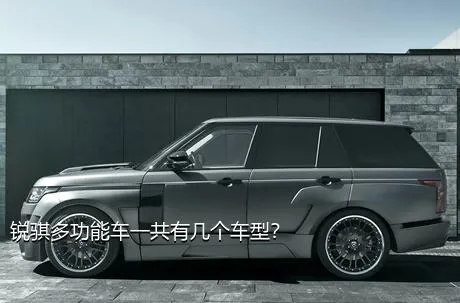 锐骐多功能车一共有几个车型？