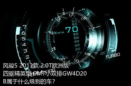 风骏5 2013款 2.0T欧洲版 四驱精英型 6MT小双排GW4D20B属于什么级别的车？
