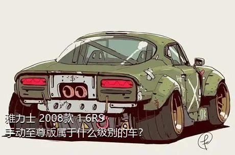 雅力士 2008款 1.6RS 手动至尊版属于什么级别的车？
