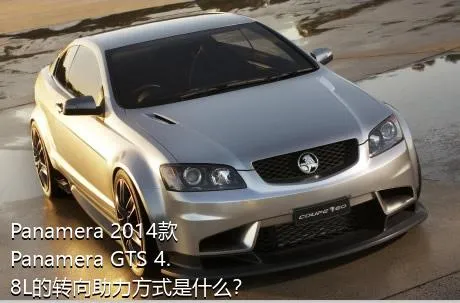 Panamera 2014款 Panamera GTS 4.8L的转向助力方式是什么？