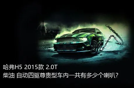 哈弗H5 2015款 2.0T 柴油 自动四驱尊贵型车内一共有多少个喇叭？