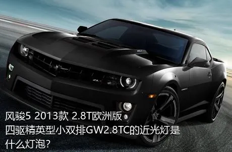 风骏5 2013款 2.8T欧洲版 四驱精英型小双排GW2.8TC的近光灯是什么灯泡？