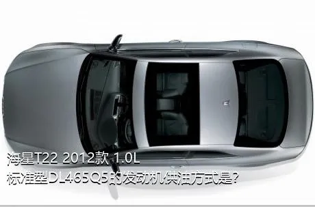 海星T22 2012款 1.0L标准型DL465Q5的发动机供油方式是？