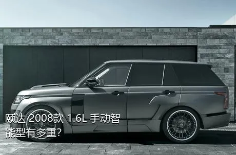 颐达 2008款 1.6L 手动智能型有多重？