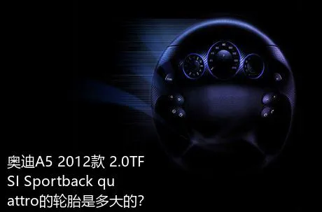奥迪A5 2012款 2.0TFSI Sportback quattro的轮胎是多大的？