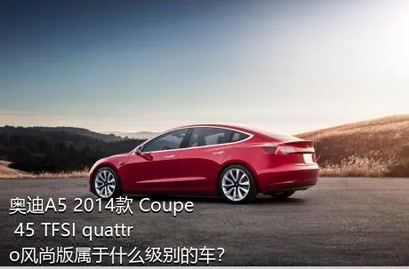奥迪A5 2014款 Coupe 45 TFSI quattro风尚版属于什么级别的车？