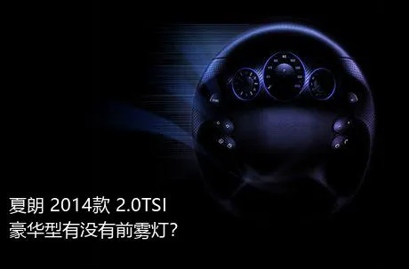 夏朗 2014款 2.0TSI 豪华型有没有前雾灯？