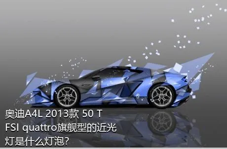 奥迪A4L 2013款 50 TFSI quattro旗舰型的近光灯是什么灯泡？