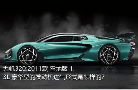 力帆320 2011款 雪地版 1.3L 豪华型的发动机进气形式是怎样的？