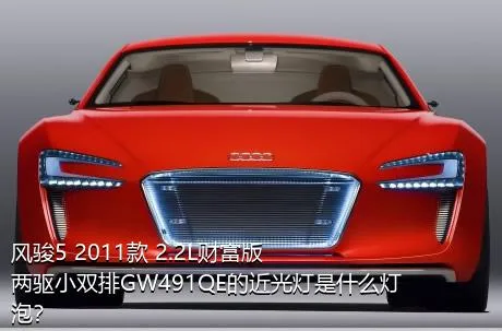 风骏5 2011款 2.2L财富版 两驱小双排GW491QE的近光灯是什么灯泡？