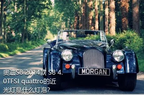 奥迪S8 2014款 S8 4.0TFSI quattro的近光灯是什么灯泡？