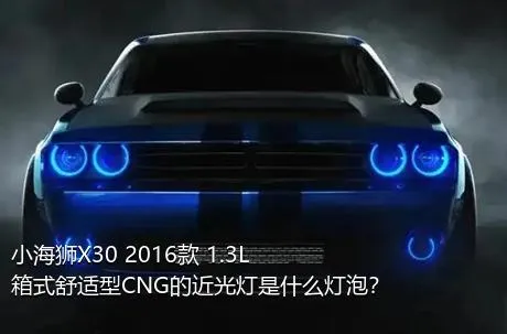 小海狮X30 2016款 1.3L箱式舒适型CNG的近光灯是什么灯泡？